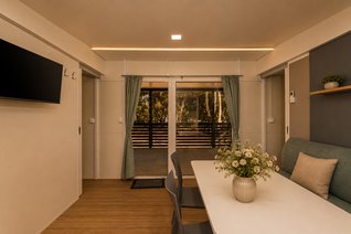 Gold_plus-6.jpg